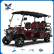  Electric Golf Buggy with 6 Seat Red Golf Cart