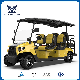  Electric Hunting Buggy for Sale Motorized Golf Cart