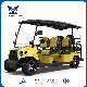 Electric Hunting Buggy for Sale Motorized Golf Cart