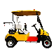 Yellow 2 Seats 48V 4kw Luxury Electric Golf Cart