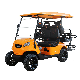 Thicken Chassis Yellow Luxury 4 Seater Hunting Electric Golf Buggy