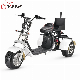 Popular 3-Wheel Golf with Bracket Motorcycle Electric Scooter