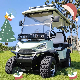  CE Approved China Made 2 4 Seat Battery Powered Electric Aluminum Golf Cart and Controller