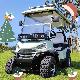 CE Approved China Made 2 4 Seat Battery Powered Electric Aluminum Golf Cart and Controller