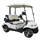  48V 2 Seaters Electric Golf Club Cart