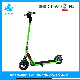 8inch Self Balancing 250W 9.6ah Folding Electric Scooter E-Scooter