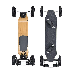 Us Warehouse Remote Control Skateboard Electric Small Fish Plate Boosted 4 Fat Wheel 40km/H with 10000mAh Battery