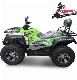 China 300cc ATV Done Buggy Supplier