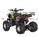  2020 Most Popular 60V 1000W Electric ATV for Best Sale