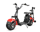 1500W Fat Tire Citycoco Golf Bag Electric Scooter Escooter