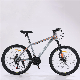  Made in China Factory Price Variable Speed Mountain Bike