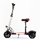  China High Quality Wholesale 10 Inch Lithium Battery Electric Scooter
