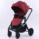 2020 New Baby Stroller D800 Grey 3 in One