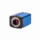  Autofocus Microscope Camera 1080P@60fps Sony High Sensitivity CMOS Sensor High Speed H-D-M-I