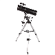 650X130EQ3 Wholesale High End Equatorial Newtonian Reflector Astronomical Telescope