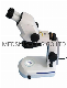 Flexible Components Apochromatic Stereo Biological Microscope for Diverse Applications Zeiss Stemi 508
