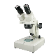  10X-40X Measuring Dissecting Stereo Microscope