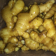 New Crop Fresh Ginger for Sale - Ginger Root Superior Quality From Brazil - Spicy and Fragrant Flavor