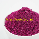 Wholesale Fd Freeze Dried Fruit Powder, Strawberry, Raspberry, Blueberry, Apple, Pineapple, Dragon Fruit Powder From China Supplier