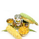 Canned Sweet Corn with High Quality