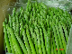  Asparagus Frozen Asparagus Spear OEM Manufacturer