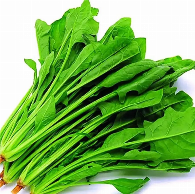 High Quality IQF Chopped Spinach 3/8", Frozen Spinach Chop