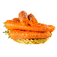 Fresh Vegetables Export High Quality Fresh Carrot Wholesale Good Price