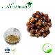  Soapnut Soapberry Extract, Sapindus Mukorossi Extract, Ritha for Pure Natural Detergent, Hand Sanitizer, Launtry Soap, Shampoo