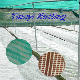  Agriculture Anti Insect Net, Window Screens, Insect and Mosquito Control, Dustproof