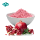 Nutrifirst Customized Organic Frozen Dried Pomegranate Powder for Baking Smoothies in Bulk