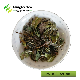 White Peony Tea White Tea Chinese Green tea Best Fermented Organic PAI MU TAN 6900/6902/6903 (Europe/America)