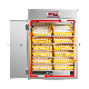 Hot Sale Automatic 5000 Chicken Egg Incubator Large.