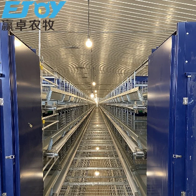 Good Price Prefabricated House Poultry Cage Battery Cages for Poultry Chicken Layer
