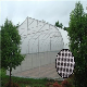  New Virgin HDPE Cheap Garden Greenhouse Anti Insect Net