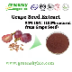  Grape Seed Extract 95% OPC (100% Natural) Plant Herbal Extract Powder Vitis Vinifera Food Additive Antioxidant Proanthocyanidins