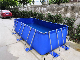 Dfspo New Inflatable Water Products Frame Speed Easy Set Swimming Pool