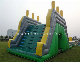  Awesome Inflatable Jumping Castle for 2014 New Year (IN005)