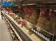  The Best Poultry Farming Equipment Automatic Laying Hens Chicken Cages