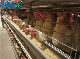 The Best Poultry Farming Equipment Automatic Laying Hens Chicken Cages