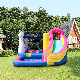 Popular Theme Playground Bouncy Castle Inflatable for Kids