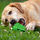 Ecofriendly Food Spills Feeding Rubber Dog Toy Chew Pet Toy Bite Resistant Ball
