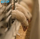  Automatic H Type Baby Poultry Chicken Cage Poultry Equipment Brooding for Growing Egg Chicken