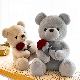 Wholesale Graduation Teddy Bear Care Bears Rose Teddy Bear for Valentine′s Day