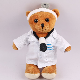 20cm Plush Stuffed Doctor Mascot Custom Made Teddy Bear