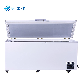  1000 Liter Super Large Kitchen Refrigerator Fish Meat Fresh-Keeping Low Temperature Deep Freezer