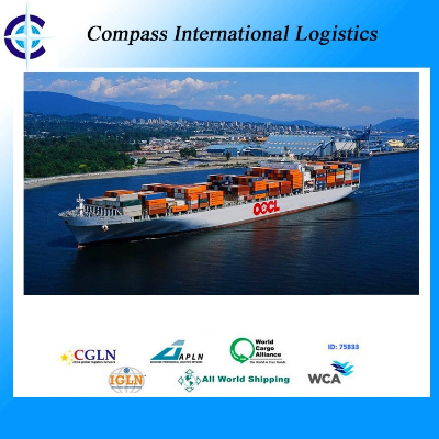 Best Shipping Rate From Foshan to Kuwait/ Sohar/ Babrain/Dammam/Dubai/Salalah/ Doha