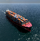  Guangzhou Shenzhen to Port Au Prince to Door Service FCL LCL Sea Shipment Cheap Price