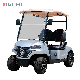 Adequate Stock Cheap Price 2 Seats Forge G2 Electric Golf Cart Golf Buggy