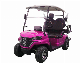  CE Approved 1-2 Dachi Iron Rack 2850*1200*1900 Utility Vehicle Golf Cart