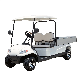 Competitive Price Good Design 4 Wheel Drive Car Golf Cart with Windshield manufacturer